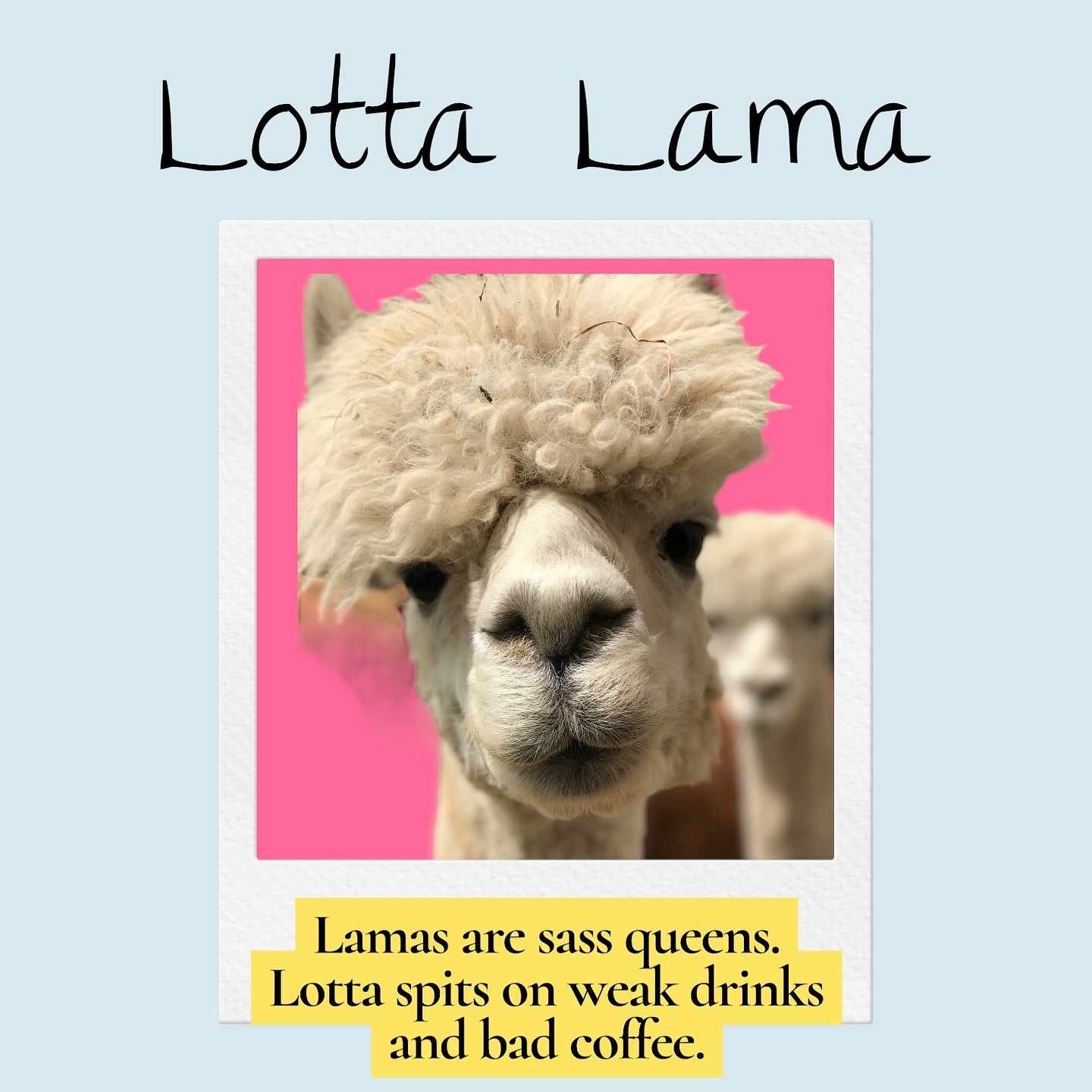 Handmade Animal Mugs // Pet Shop Mug Series - 23 Pots