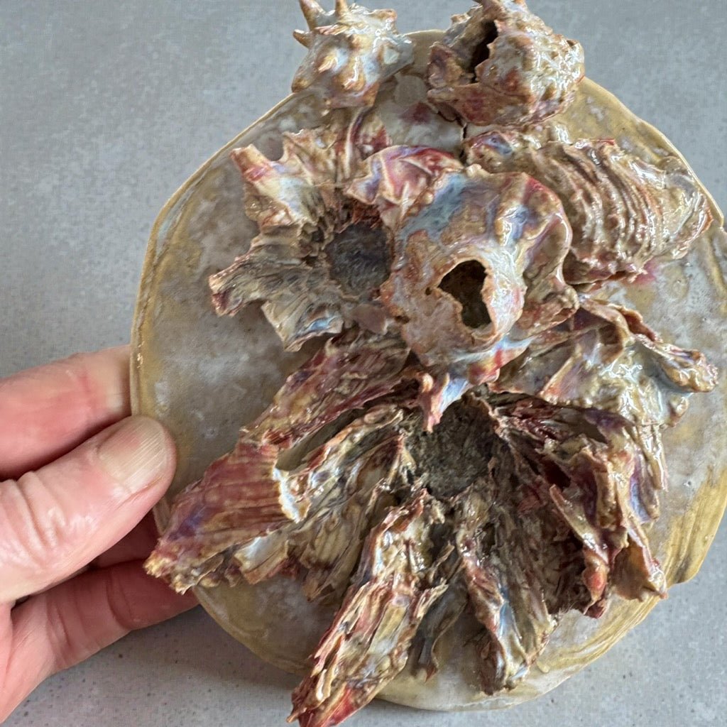 Salt Meadow Wall Floral - 23 Pots