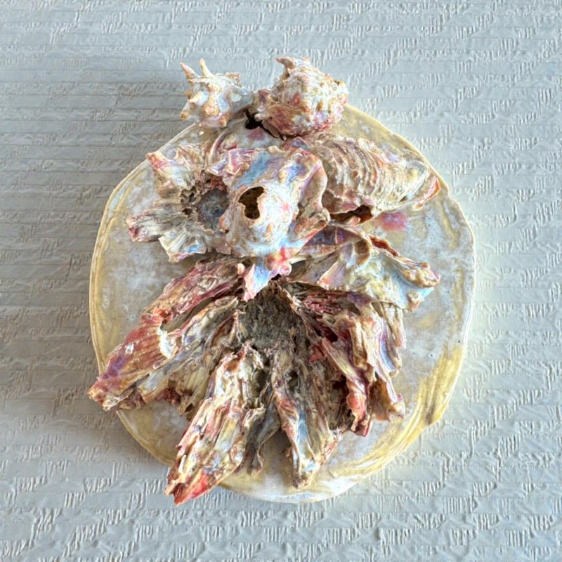 Salt Meadow Wall Floral - 23 Pots