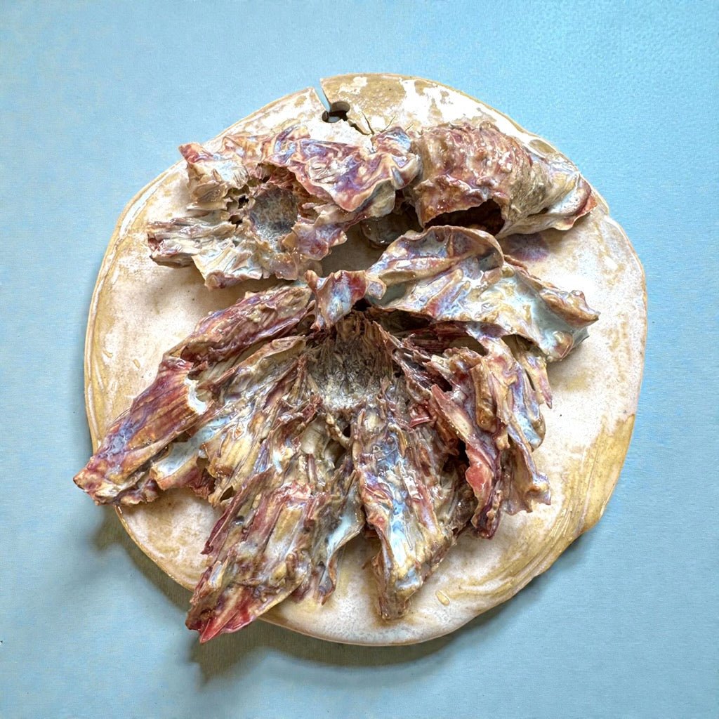 Salt Meadow Wall Floral - 23 Pots