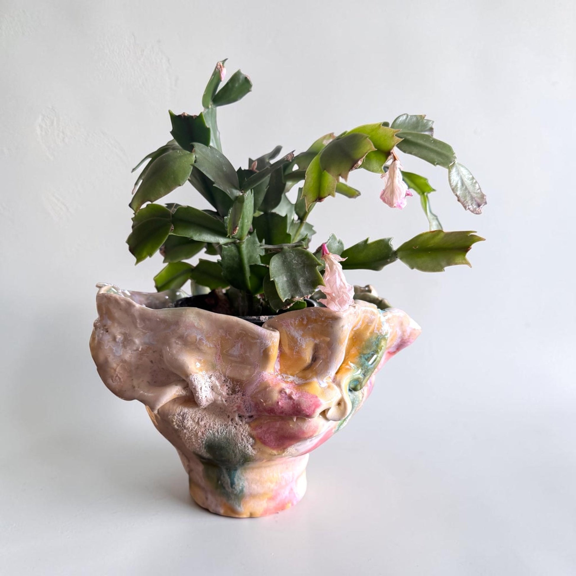 Spill the Blooms Planter - 23 Pots